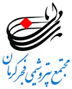 پتروشیمی فجر کرمان
