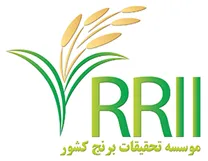 تحقیقات برنج کشور