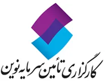 کارگزاری تامین سرمایه نوین