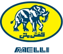 کفش ملی