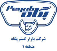 بازارگستر پگاه - منطقه یک