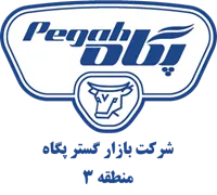 بازارگستر پگاه - منطقه سه