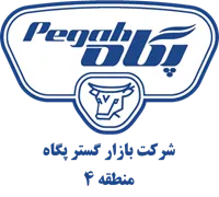 بازارگستر پگاه - منطقه چهار
