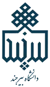 دانشگاه بیرجند