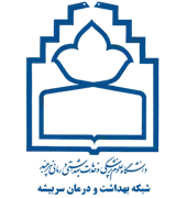 شبکه بهداشت و درمان سربیشه
