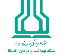 شبکه بهداشت و درمان اندیکا