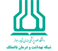 شبکه بهداشت و درمان باغ ملک