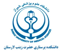 دانشکده پرستاری حضرت زینب لارستان
