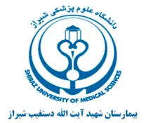 بیمارستان شهید آیت الله دستغیب شیراز