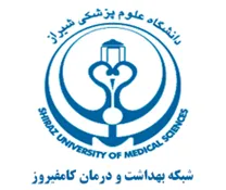 شبکه بهداشت و درمان کامفیروز