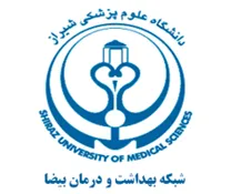شبکه بهداشت و درمان بیضا
