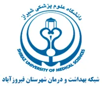 شبکه بهداشت و درمان شهرستان فیروزآباد