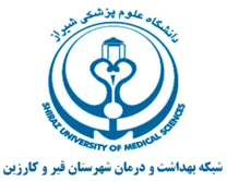 شبکه بهداشت و درمان شهرستان قیر و کارزین