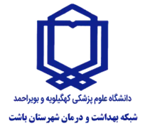 شبکه بهداشت و درمان شهرستان باشت