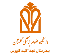 بیمارستان شهدا گنبد کاووس