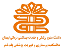 دانشکده پرستاری و فوریت پزشکی پلدختر