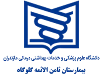 بیمارستان ثامن الائمه گلوگاه