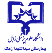 بیمارستان سیدالشهدا زهک
