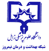 شبکه بهداشت و درمان نیمروز