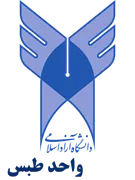 دانشگاه آزاد اسلامی واحد طبس
