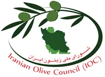 شورای ملی زیتون ایران