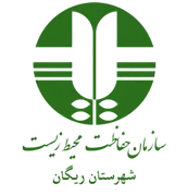 حفاظت محیط زیست شهرستان ریگان