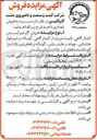 تصویر کوچک آگهی فروش گاو غیر آبستن کشتارگاهی تلیسه غیر باردار کشتار گاهی گوساله نر شیرخوار هلشتاین ، جوانه نر هلشتاین گوساله نر قطع شیر نژاد اینرا گوساله ماده قطع شیر نژاد اینرا و تلیسه آبستن 