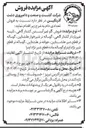 تصویر کوچک آگهی  فروش گاو غیر آبستن کشتارگاهی ، تلیسه غیر باردار کشتار گاهی گوساله نر شیرخوار هلشتاین ، گوساله نر قطع شیر هلشتاین جوانه نر هلشتاین ، گوساله نر قطع شیر نژاد اینراو گوساله ماده قطع شیر نژاد اینرا 
