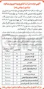 تصویر کوچک آگهی تلیسه غیر باردار و فری مارتین 

