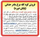 تصویر کوچک آگهی فروش حدود ۴۰۰ تن کود مرغ مادر فارم میثاق 
