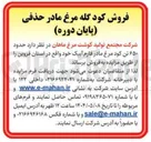 تصویر کوچک آگهی فروش  حدود ۶۵۰ تن کود مرغ مادر فارم آبیک