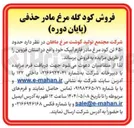 تصویر کوچک آگهی  حدود ۶۵۰ تن کود مرغ مادر فارم