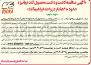 تصویر کوچک آگهی  کاشت و داشت محصول گندم حدود ۱۱۰ هکتار گندم پائیزه