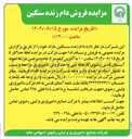 تصویر کوچک آگهی فروش دام زنده سنگین مازاد