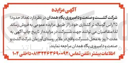 تصویر کوچک آگهی فروش تعداد حدودا ۲۵ راس گوساله نر کشتاری 