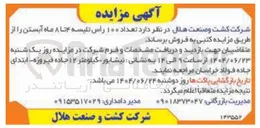 تصویر کوچک آگهی فروش تعداد ۱۰۰ رأس تلیسه ۴ تا ۸ ماه آبستن 