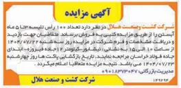 تصویر کوچک آگهی فروش  تعداد ۱۰۰ رأس تلیسه ۳ تا ۵ ماه آبستن