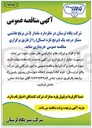 تصویر کوچک آگهی خرید مقدار ۵ تن برنج هاشمی ممتاز درجه یک برنج تازه 