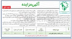 تصویر کوچک آگهی فروش تنه و شاخه درختان قطع شده