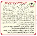 تصویر کوچک آگهی فروش کود حیوانی گاوی فرآوری نشده