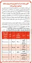 تصویر کوچک آگهی فروش پسته تولیدی