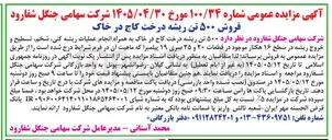 تصویر کوچک آگهی فروش ۵۰۰ تن ریشه درخت کاج در خاک