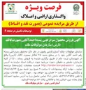 تصویر کوچک آگهی فروش محصول سر درختی پسته احمد آقایی بصورت كالك