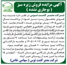 تصویر کوچک آگهی فروش زیره سبز (بوجاری نشده)