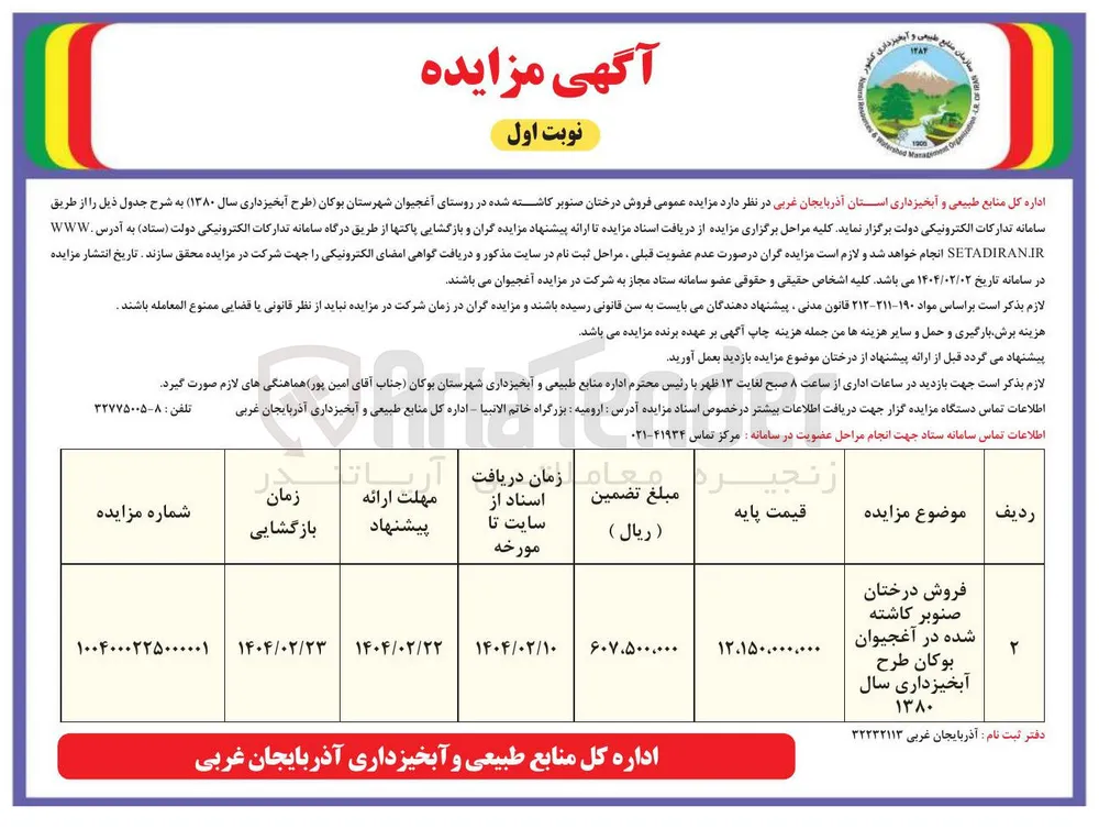 فروش درختان صنوبر کاشته شده 