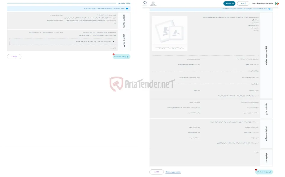 حراج فروش 8 رأس گاومیش ماده و یک رآس گاو ماده جمعا 9 رأس دام به فروش می رسد