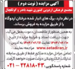 فروش برگ های انبار شده درختان اردوگاه
