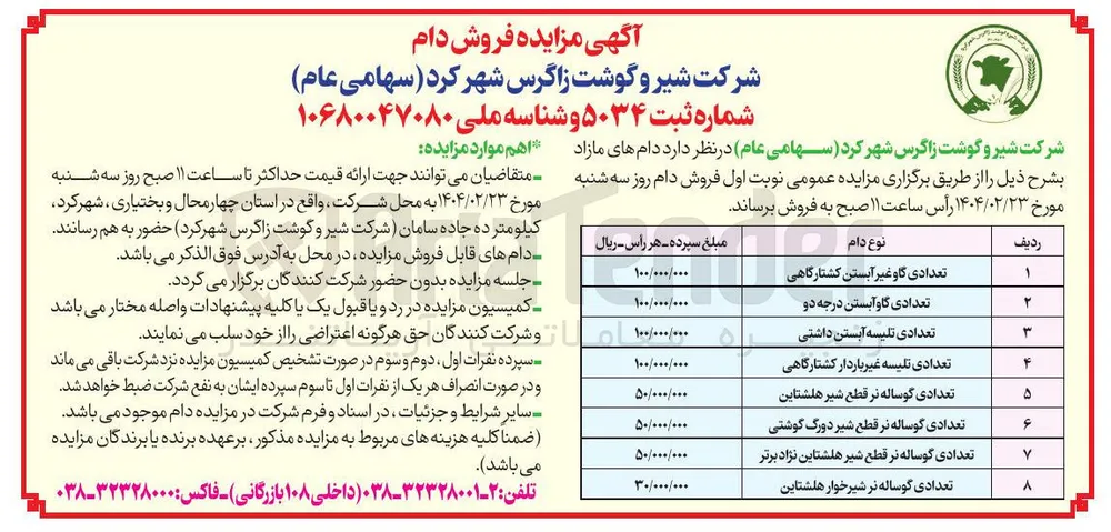 تعدادی گوساله نر قطع شیر هلشتاین 
