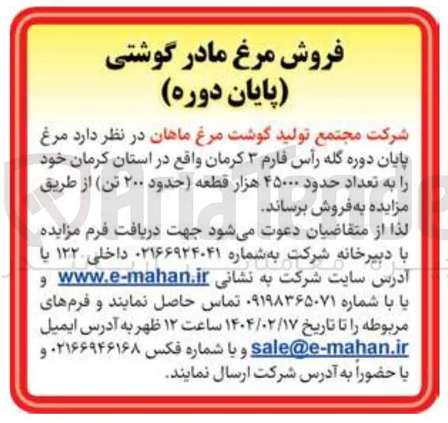 فروش مرغ پایان دوره گله رأس فارم ۳ به تعداد حدود ۴۵۰۰۰ هزار قطعه حدود ۲۰۰ تن
