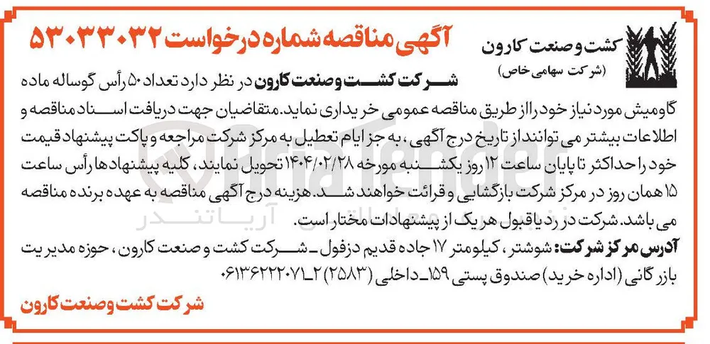 خرید تعداد ۵۰ رأس گوساله ماده گاومیش